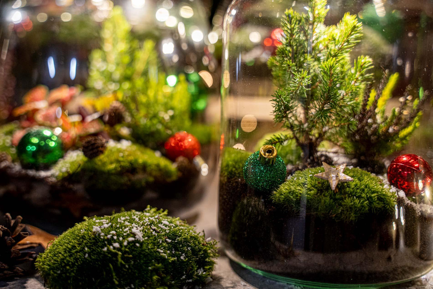 Holly Christmas terrarium - Bottle garden DIY kit - Ø 29 cm ↑ 30