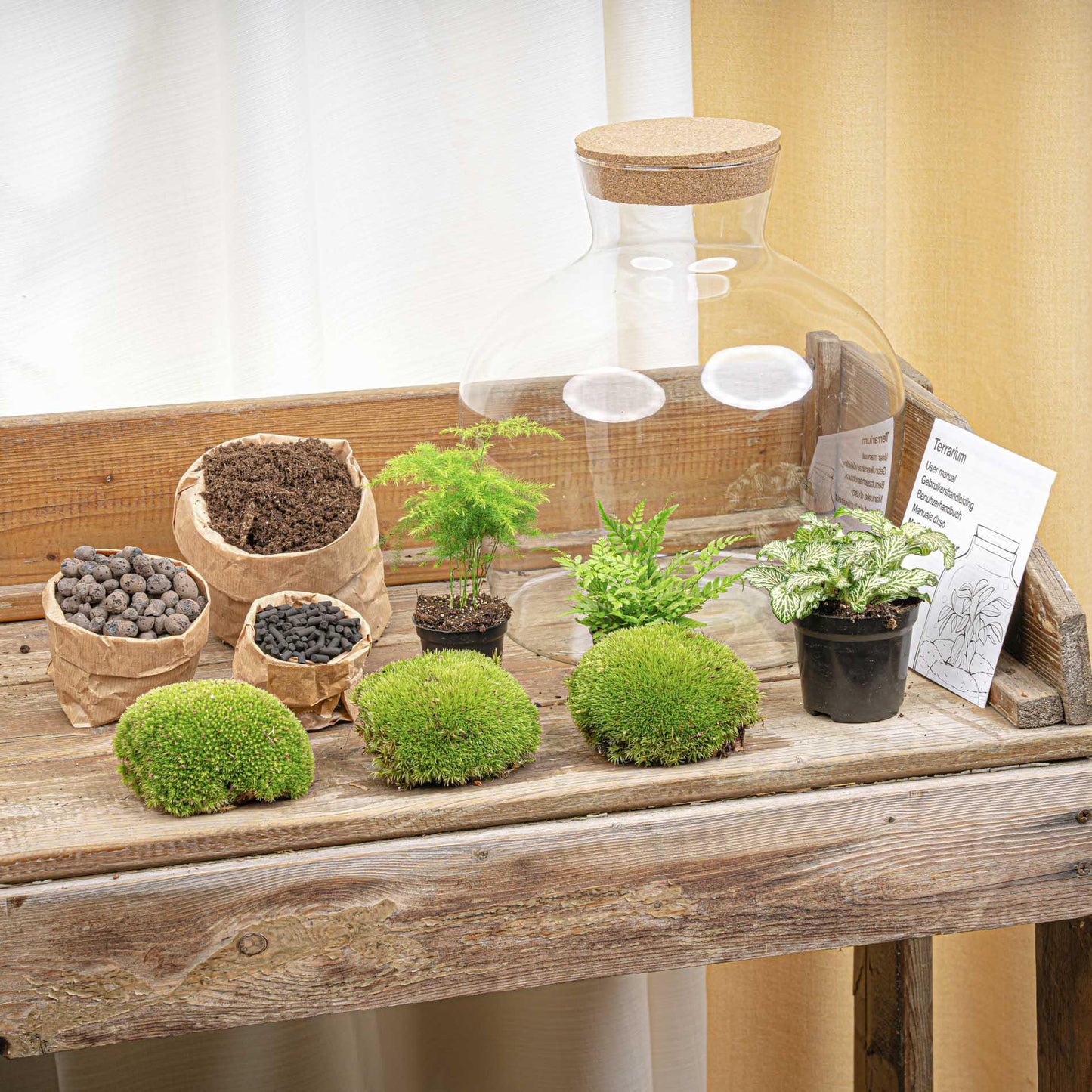 DIY Planten terrarium met licht - Fat Joe Green - Ø 29 cm ↑ 30 cm - No tools