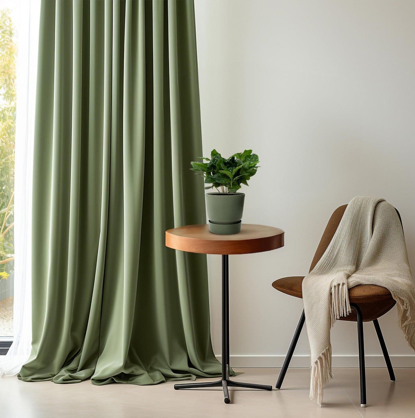 Coffea Arabica 12cm - Ø12cm - ↕22cm