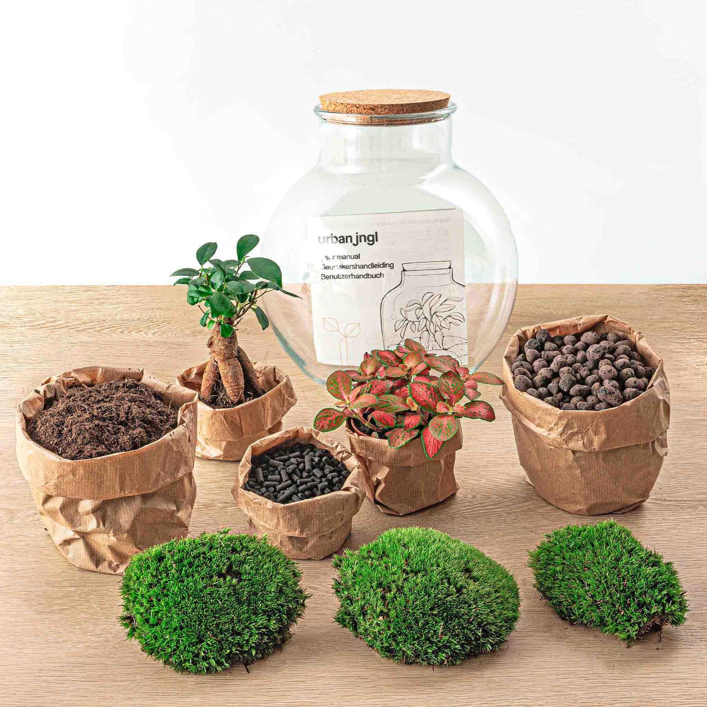 DIY Planten terrarium (met licht) - Teddy Bonsai - Ø 25 cm ↑ 26,5 cm - Rake + Shovel + Tweezer