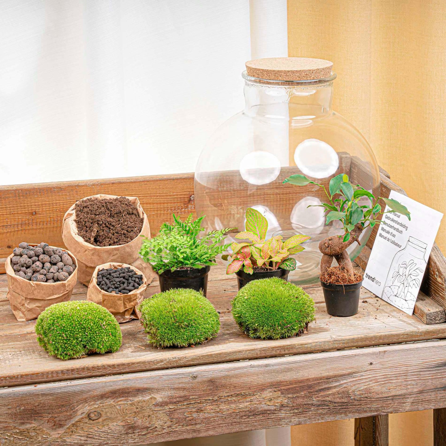 DIY Planten terrarium - Bolder Bob Bonsai - Ø 31 cm ↑ 30 cm - Rake + Shovel + Tweezer + Scissors