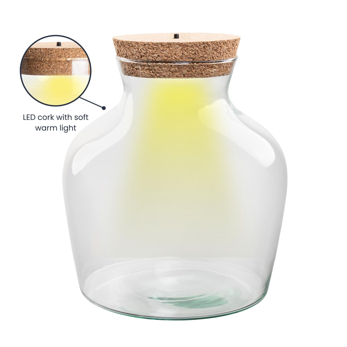 Terrarium fles met LED-verlichting - Gesloten terrarium - Little Joe - ↑ 22 cm - Ø 20 cm