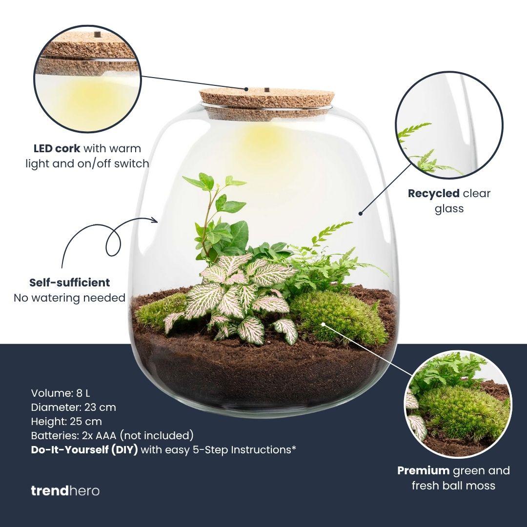Planten terrarium - Emma - DIY kit - ↑ 25 cm - Ø 23 cm - Hedera White