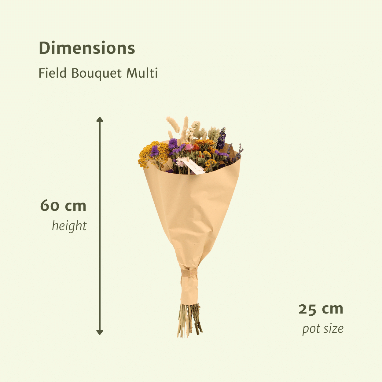 Droogbloemen Field Bouquet Multi - Ø25cm - ↕60cm