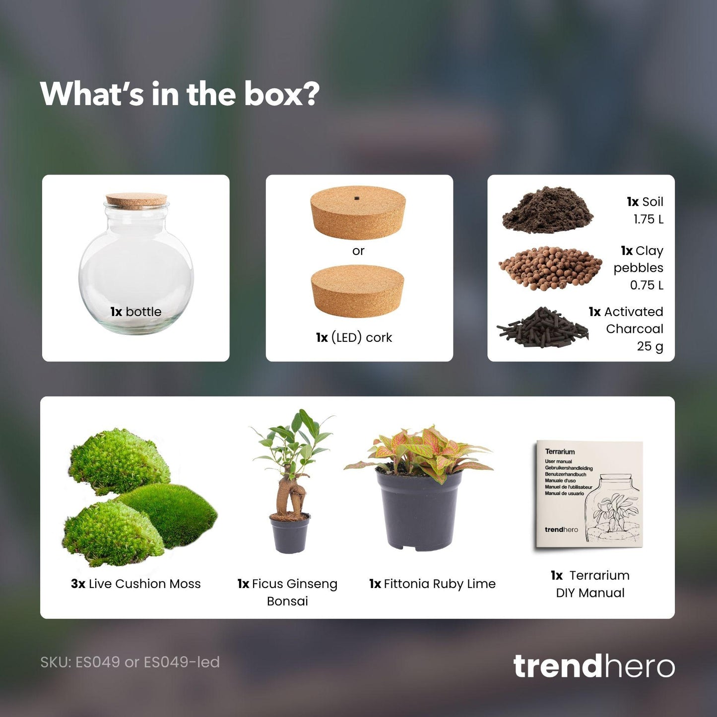 DIY Planten terrarium (met licht) - Teddy Bonsai - Ø 25 cm ↑ 26,5 cm - Met LED-kurk