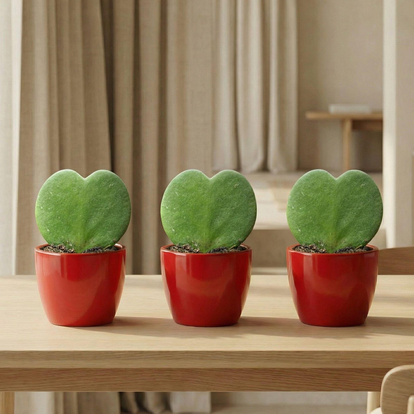 Sweetheart Plant Set - Groene Mini Gift - Pot & Plant Set - Rood