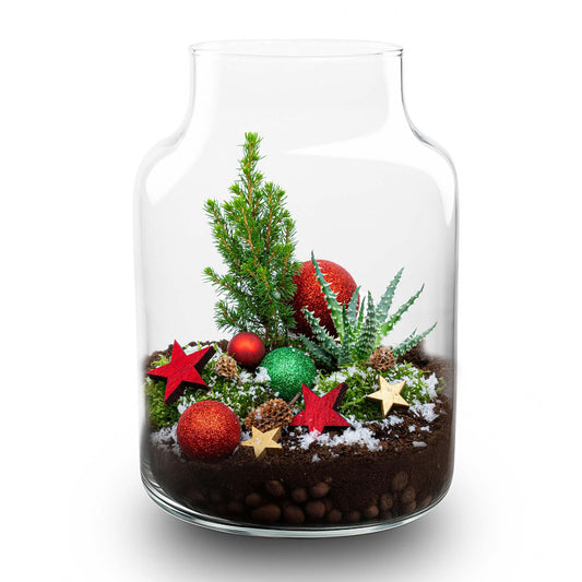 Frosty Kerstmis terrarium - Planten terrarium  DIY kit Christmas -  -  Ø 17 cm ↑ 25 cm