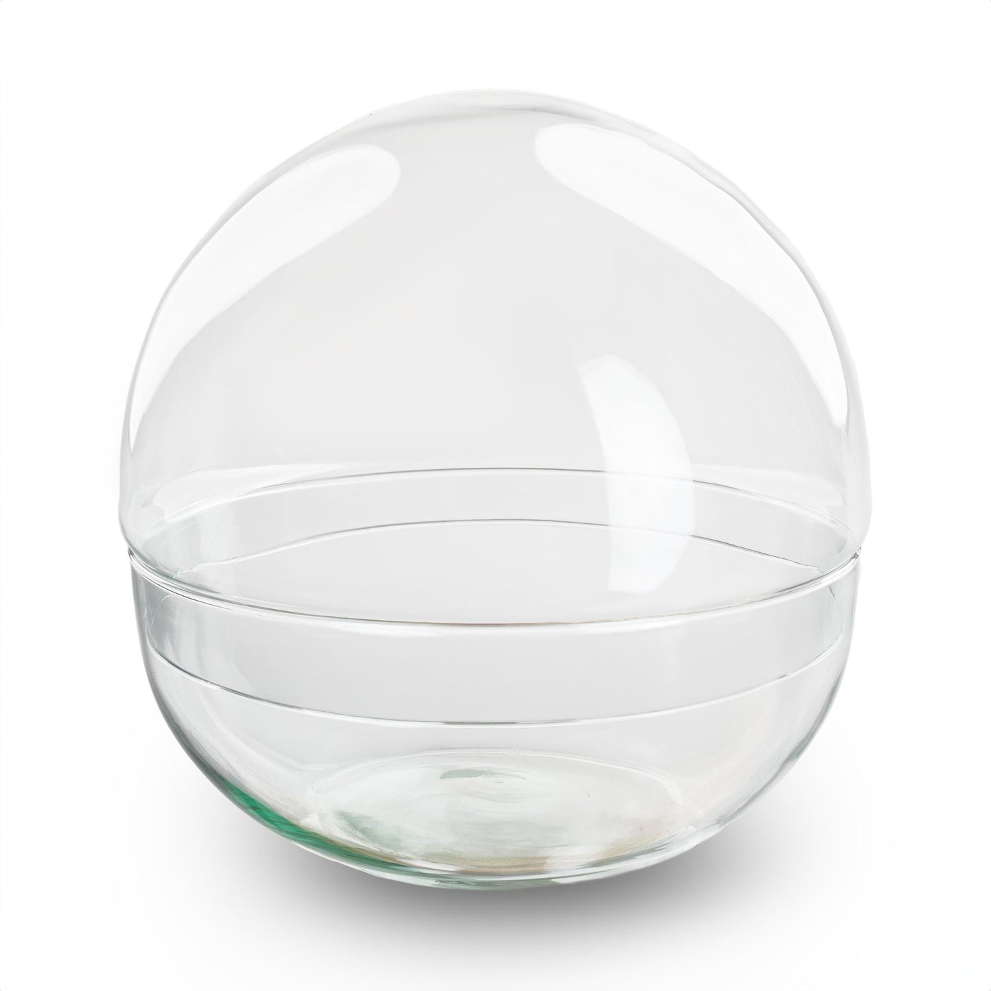 Terrarium bolglas tweedelig - Dome - Ø 20 cm ↑ 20 cm