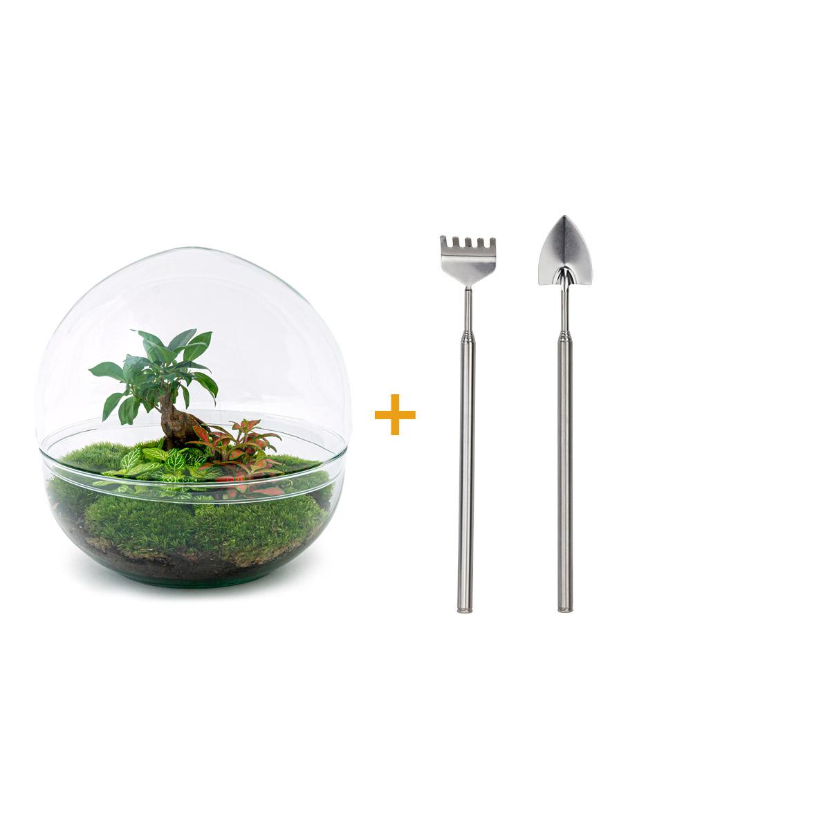 DIY Planten terrarium tweedelig bolglas - Dome XL Bonsai - Ø 28 cm ↑ 28 cm - Rake + Shovel