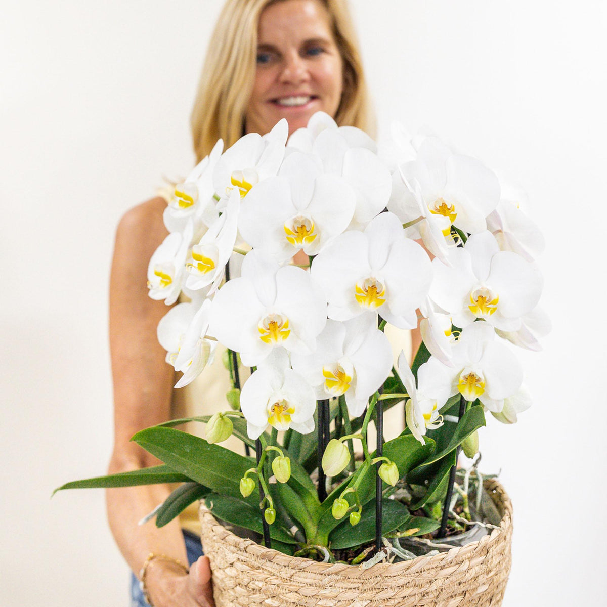 Mono Bouquet wit | 3 witte orchideeën Niagara Fall in mand met waterreservoir