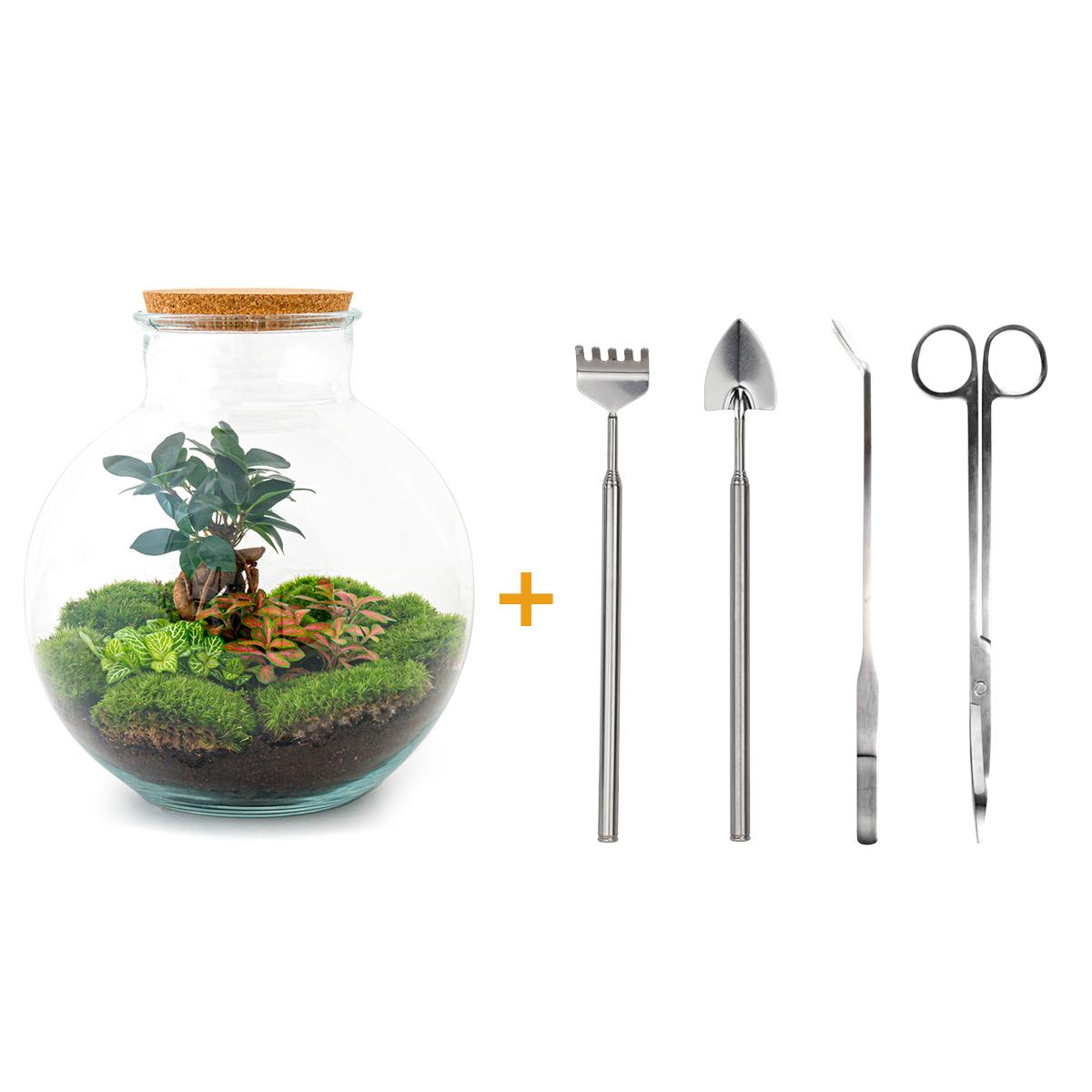 DIY Planten terrarium - Bolder Bob Bonsai - Ø 31 cm ↑ 30 cm - Rake + Shovel + Tweezer + Scissors
